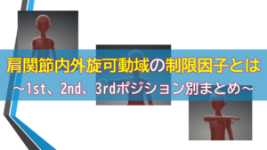 肩関節内外旋可動域の制限因子とは～1st、2nd、3rdポジション別まとめ～