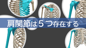 肩関節は5つ存在する