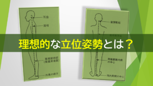 理想的な立位姿勢とは？