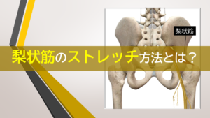 梨状筋のストレッチ方法とは？