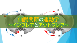 仙腸関節の運動学～インフレアとアウトフレア～
