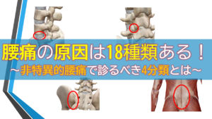 腰痛の原因は18種類ある！～非特異的腰痛で診るべき4分類とは～