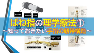 構造医学　ばね指処方ローラー（弾発指処方転子） 構造医学 ばね指処方ローラー（弾発指処方転子）