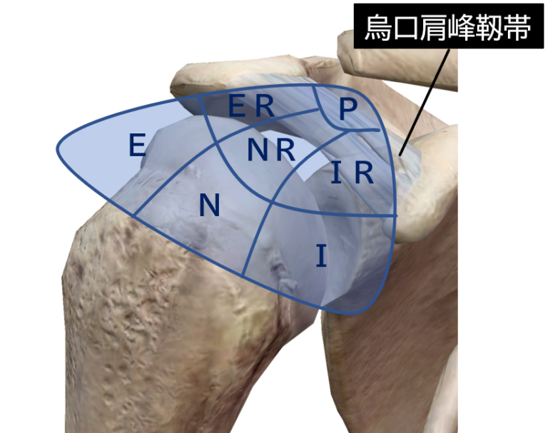 ショルダーインピンジメントとは何ですか？