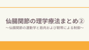 仙腸関節の理学療法まとめ②〜仙腸関節の運動学と筋肉および靭帯による制御〜