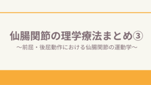 仙腸関節の理学療法まとめ③〜前屈・後屈動作における仙腸関節の運動学〜