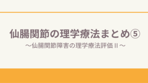 仙腸関節の理学療法まとめ⑤〜仙腸関節障害の理学療法評価Ⅱ〜