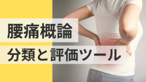 腰痛症に対する理学療法評価 腰痛症に対する理学療法評価～評価から考えられる治療法の選択