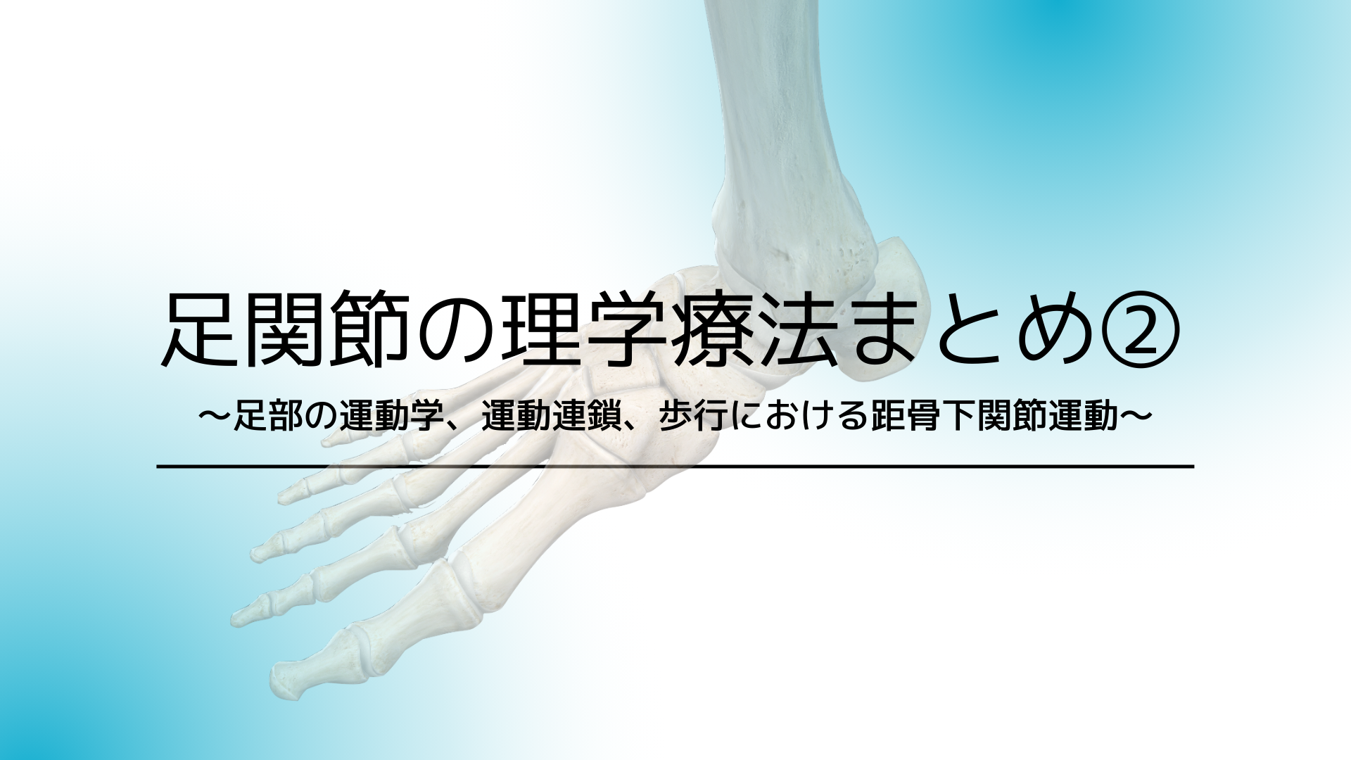 足関節の理学療法まとめ②〜足部の運動学、運動連鎖、歩行における距骨下関節運動〜