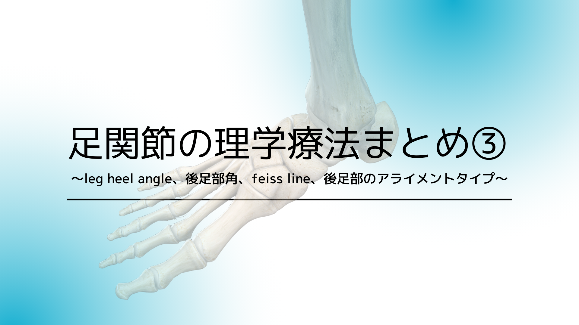 足関節の理学療法まとめ③〜leg heel angle、後足部角、feiss line、後足部のアライメントタイプ〜