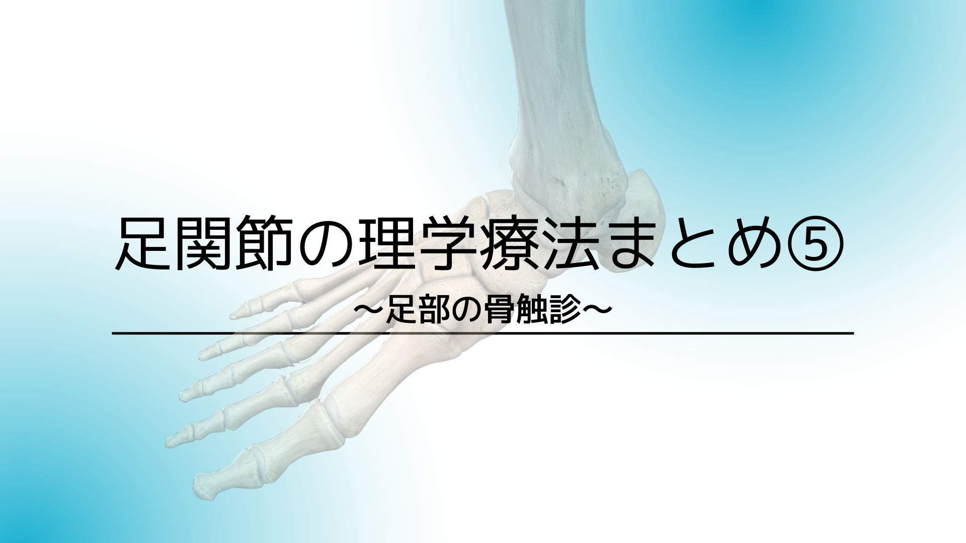 足関節の理学療法まとめ⑤〜足部の骨触診〜