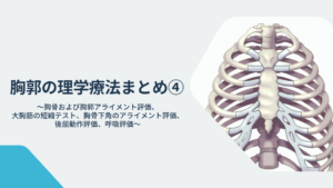 胸郭の理学療法まとめ④〜胸骨および胸郭アライメント評価、大胸筋の短縮テスト、胸骨下角のアライメント評価、後屈動作評価、呼吸評価〜