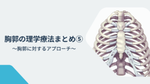 胸郭の理学療法まとめ⑤〜胸郭に対するアプローチ〜