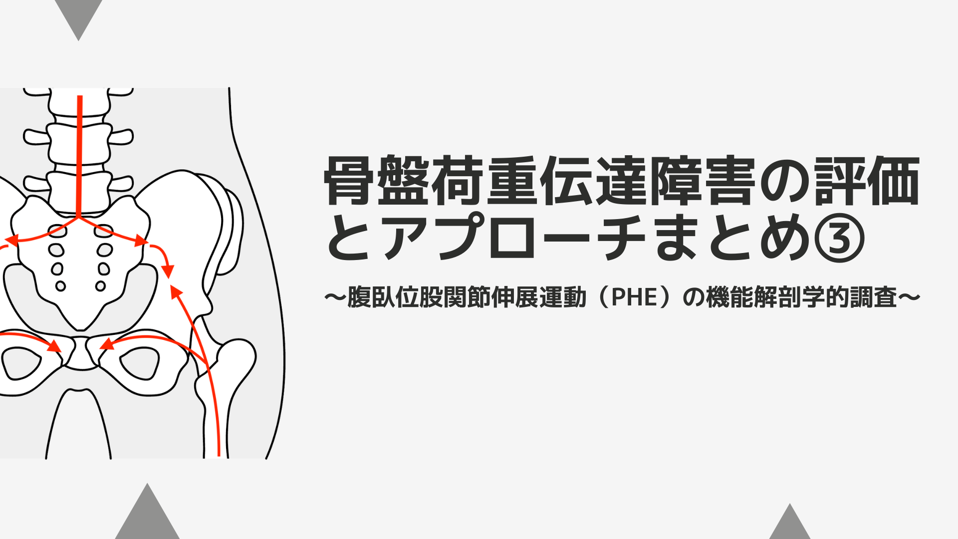 骨盤荷重伝達障害の評価とアプローチまとめ③〜腹臥位股関節伸展運動（PHE）の機能解剖学的調査〜
