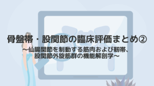 骨盤帯・股関節の臨床評価まとめ②〜仙腸関節を制動する筋肉および靭帯、股関節外旋筋群の機能解剖学〜
