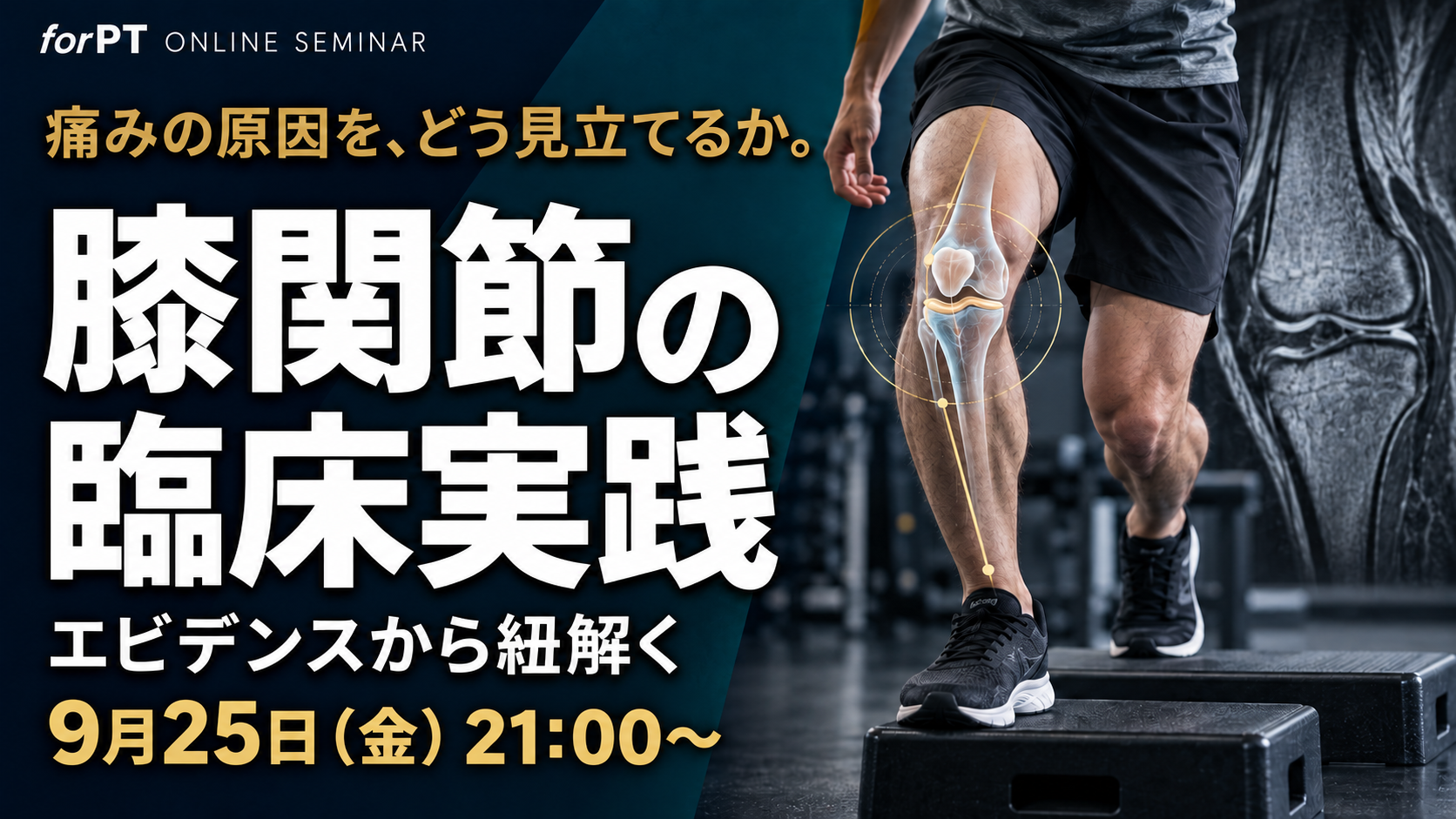 セミナー情報