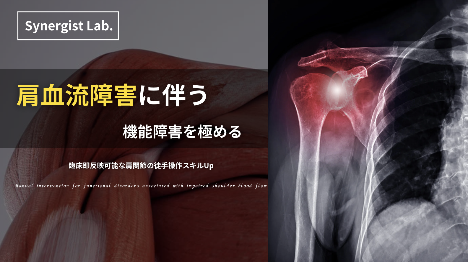 セミナー情報