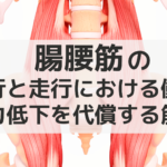 腸腰筋の歩行と走行における働きと筋力低下を代償する筋群