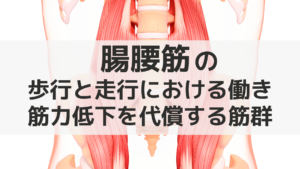 腸腰筋の歩行と走行における働きと筋力低下を代償する筋群