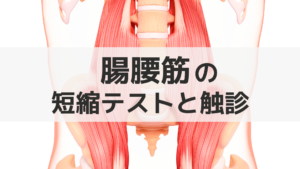 腸腰筋の短縮テスト（Thomasテスト変法）と触診
