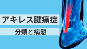 アキレス腱痛症の分類と病態