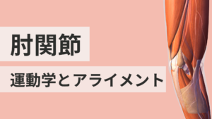 肘関節の運動学とアライメント
