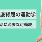 足関節底背屈の運動学と日常生活に必要な可動域
