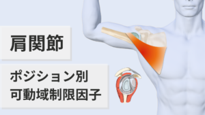 肩関節可動域制限因子-300x169.png