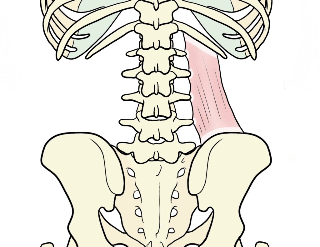 MSO: Medical School Online MSO: Medical School Online