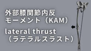 外部膝関節内反モーメント（KAM）とlateral thrust（ラテラルスラスト）