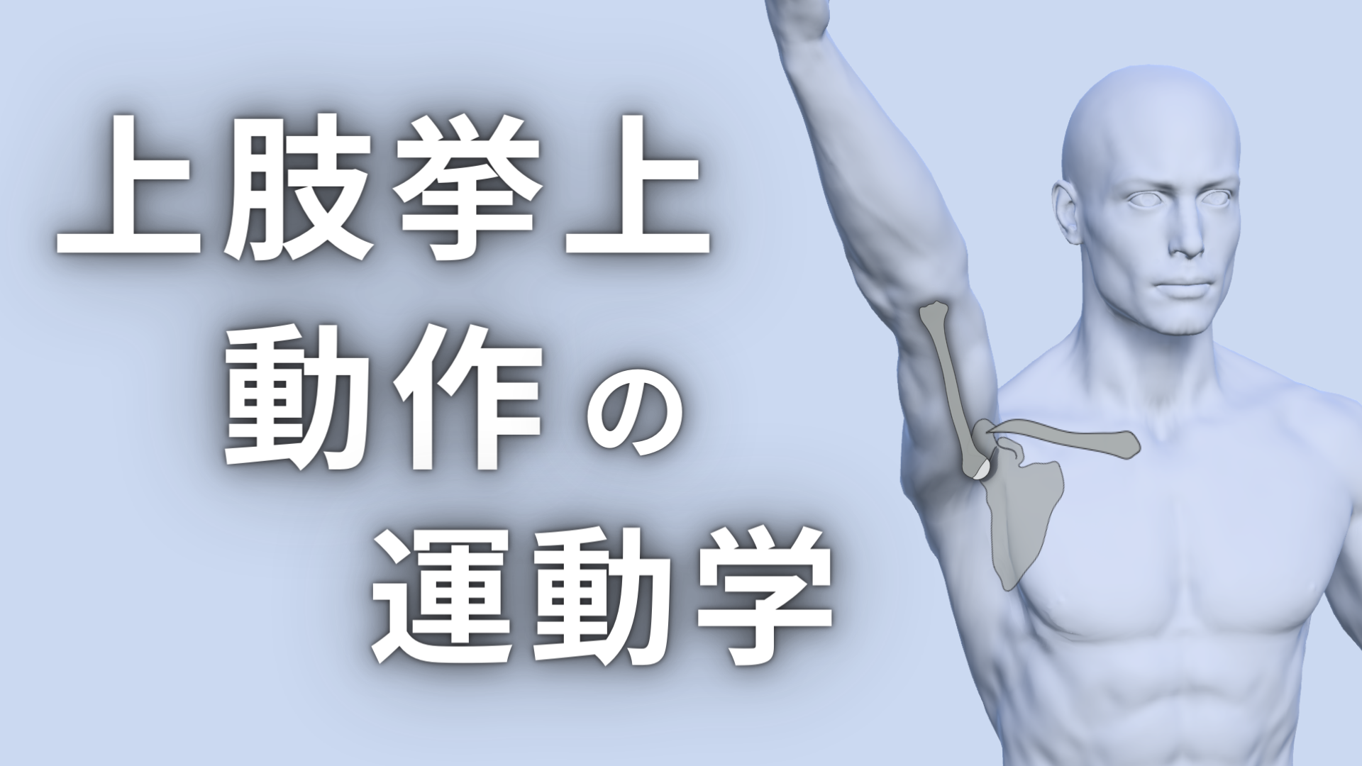 挙 上 と は