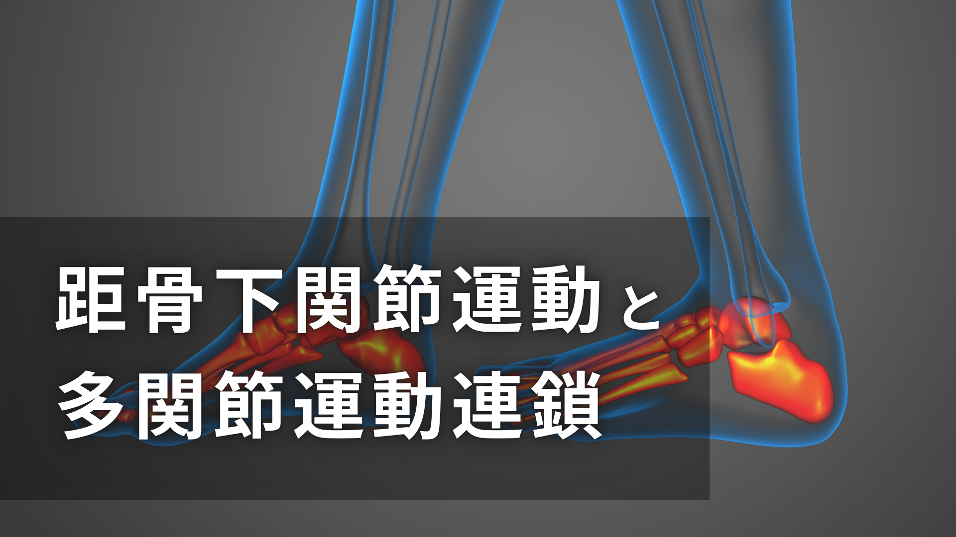 距骨下関節運動と多関節運動連鎖