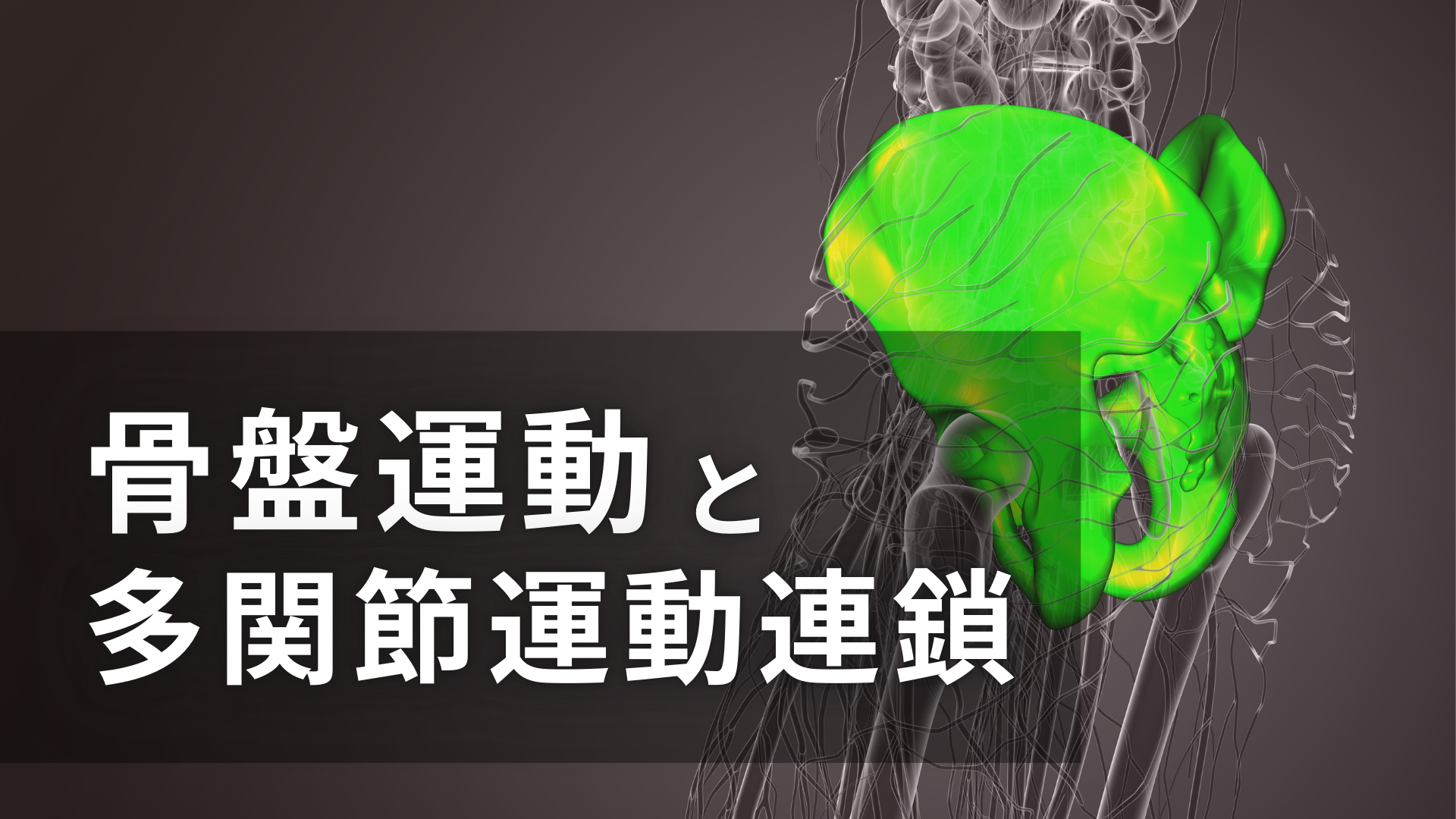 骨盤運動と多関節運動連鎖