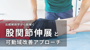 比較解剖学から紐解く股関節伸展の重要性と可動域改善アプローチ