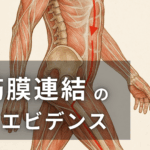 筋・筋膜連鎖とエビデンス - forPT ONLINE
