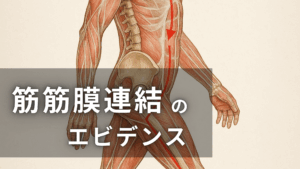 筋・筋膜連鎖とエビデンス