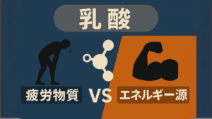 乳酸「疲労物質」説の歴史的変遷と科学的検証〜乳酸は疲労物質か？エネルギー源か？〜