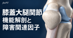 膝蓋大腿関節の機能解剖と障害関連因子